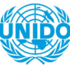 United Nations Industrial Development Organization (UNIDO)