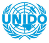 United Nations Industrial Development Organization (UNIDO)