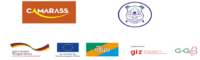The Cashew Fruit Product Development Project (CFPP)