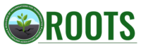 Resilience of Organisations for Transformative Smallholder Agriculture Project (ROOTS)